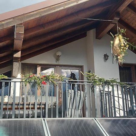 Cabana Rustic Borşa Εξωτερικό φωτογραφία