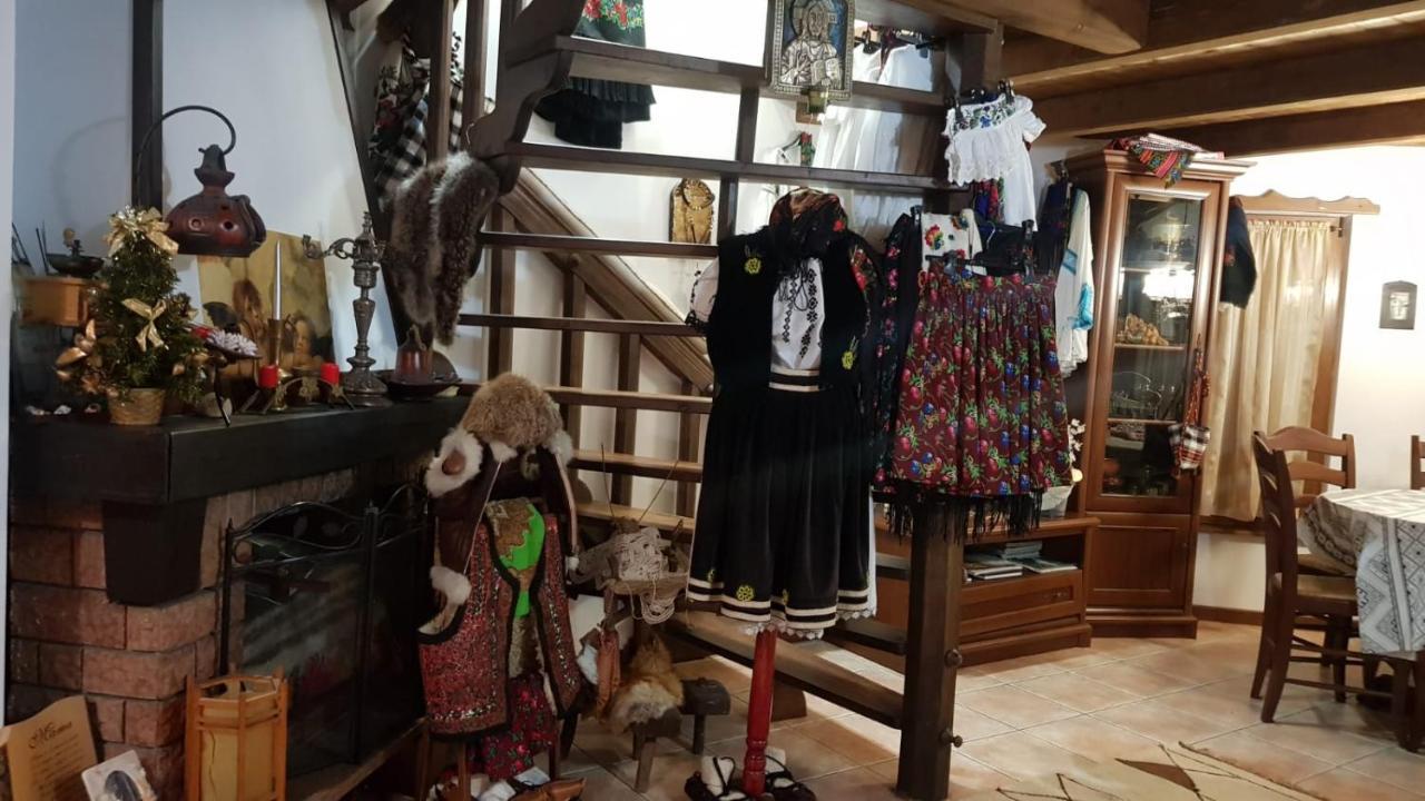 Cabana Rustic Borşa Εξωτερικό φωτογραφία