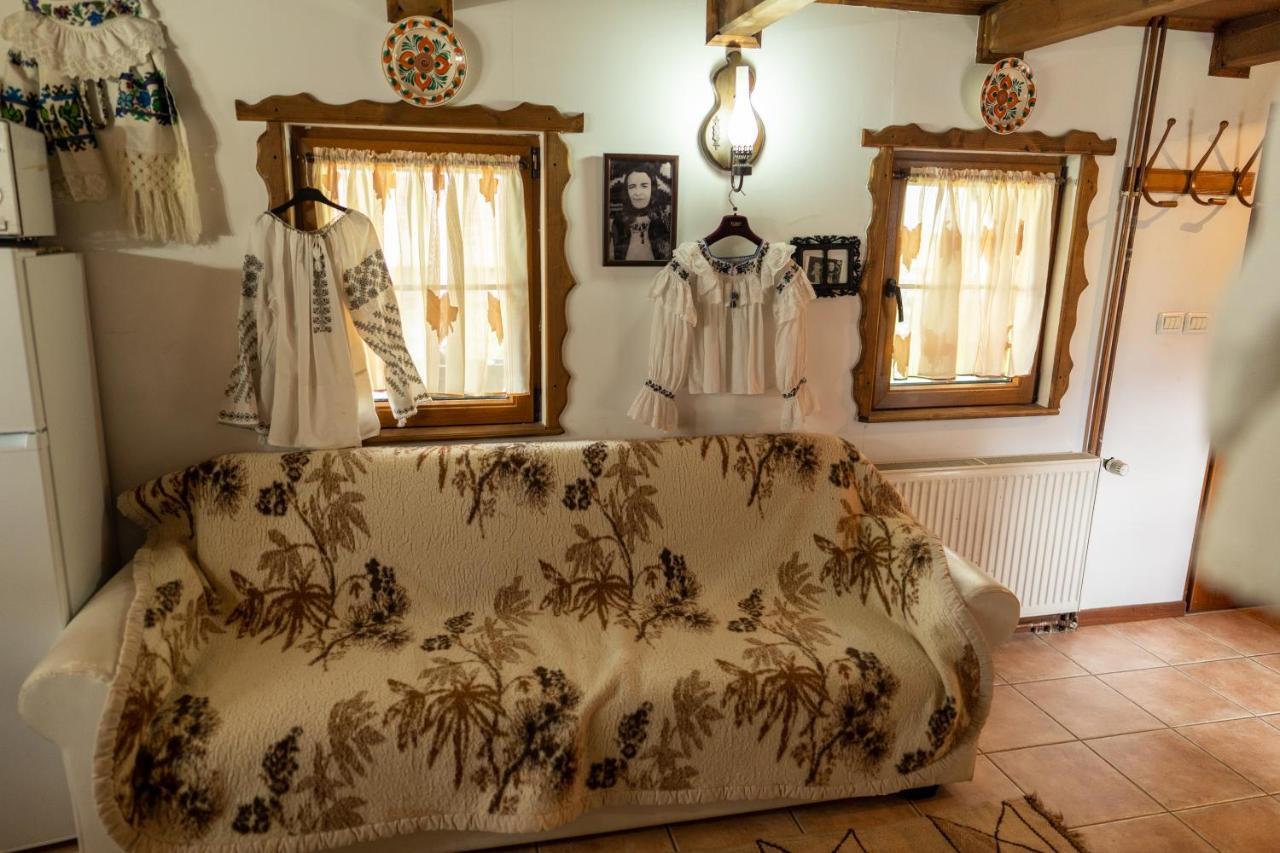 Cabana Rustic Borşa Εξωτερικό φωτογραφία