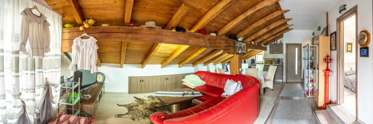 Cabana Rustic Borşa Εξωτερικό φωτογραφία