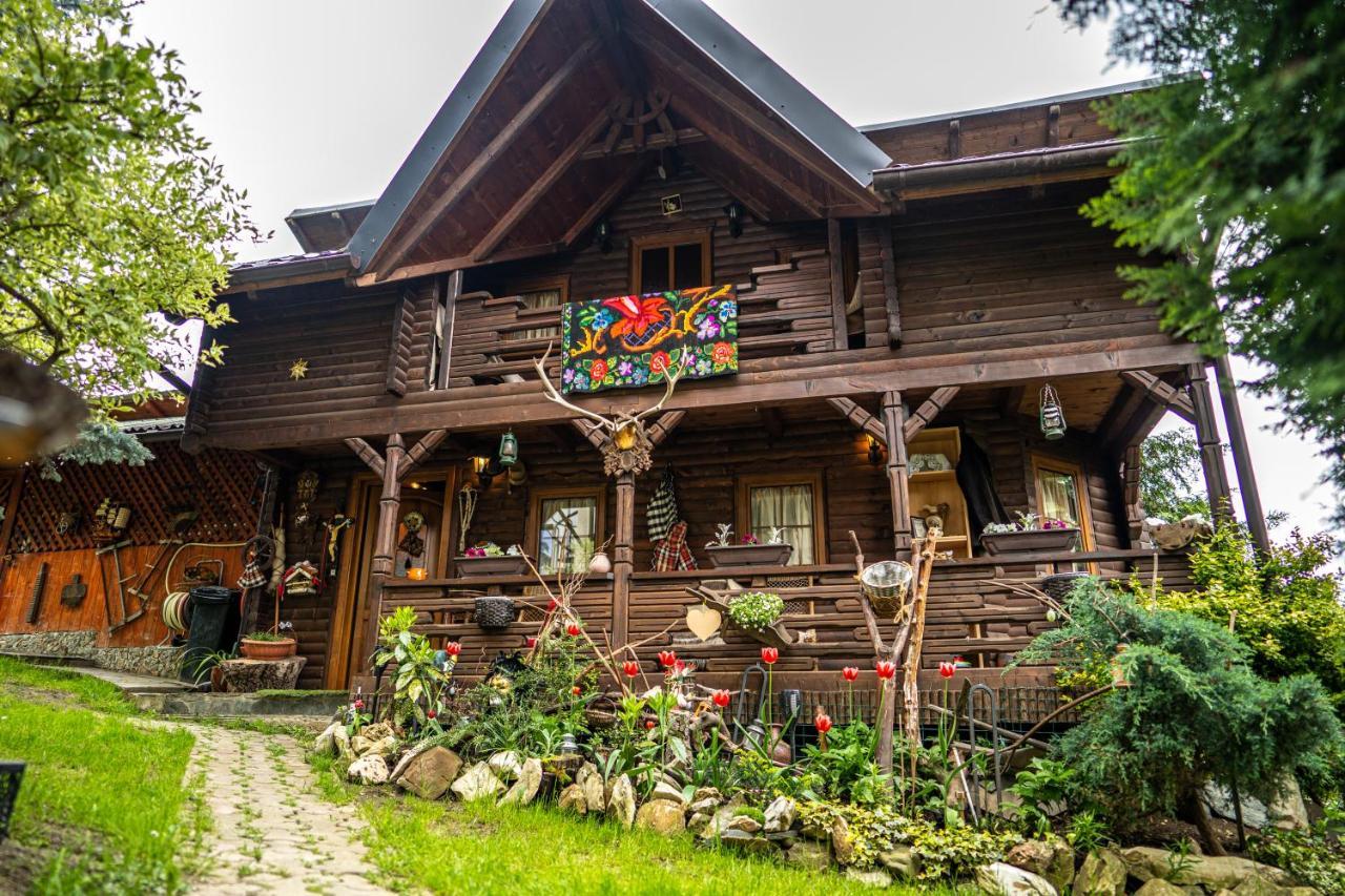 Cabana Rustic Borşa Εξωτερικό φωτογραφία