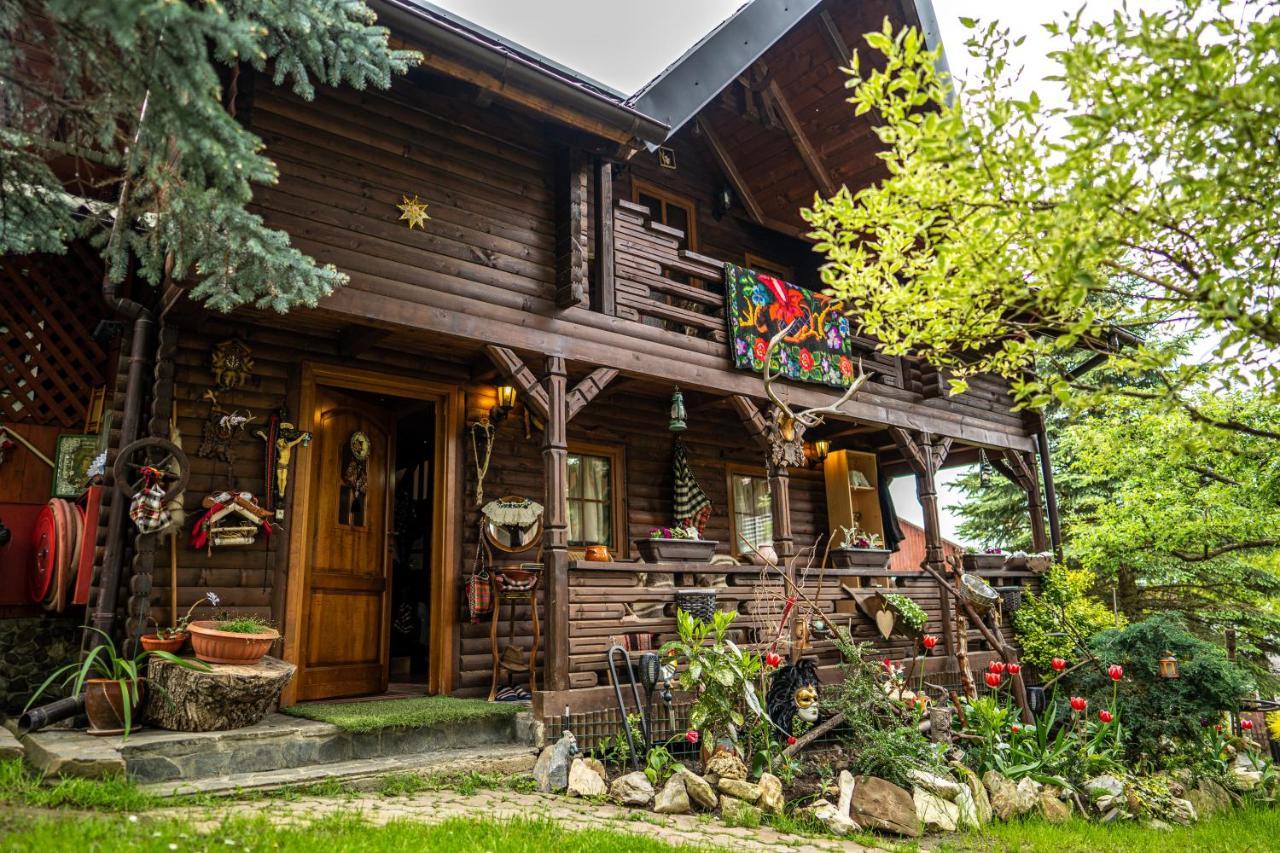 Cabana Rustic Borşa Εξωτερικό φωτογραφία