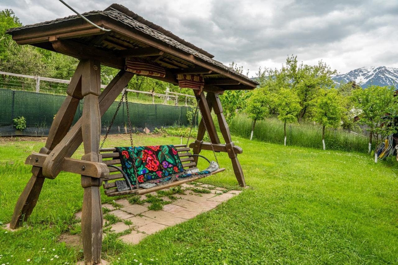 Cabana Rustic Borşa Εξωτερικό φωτογραφία