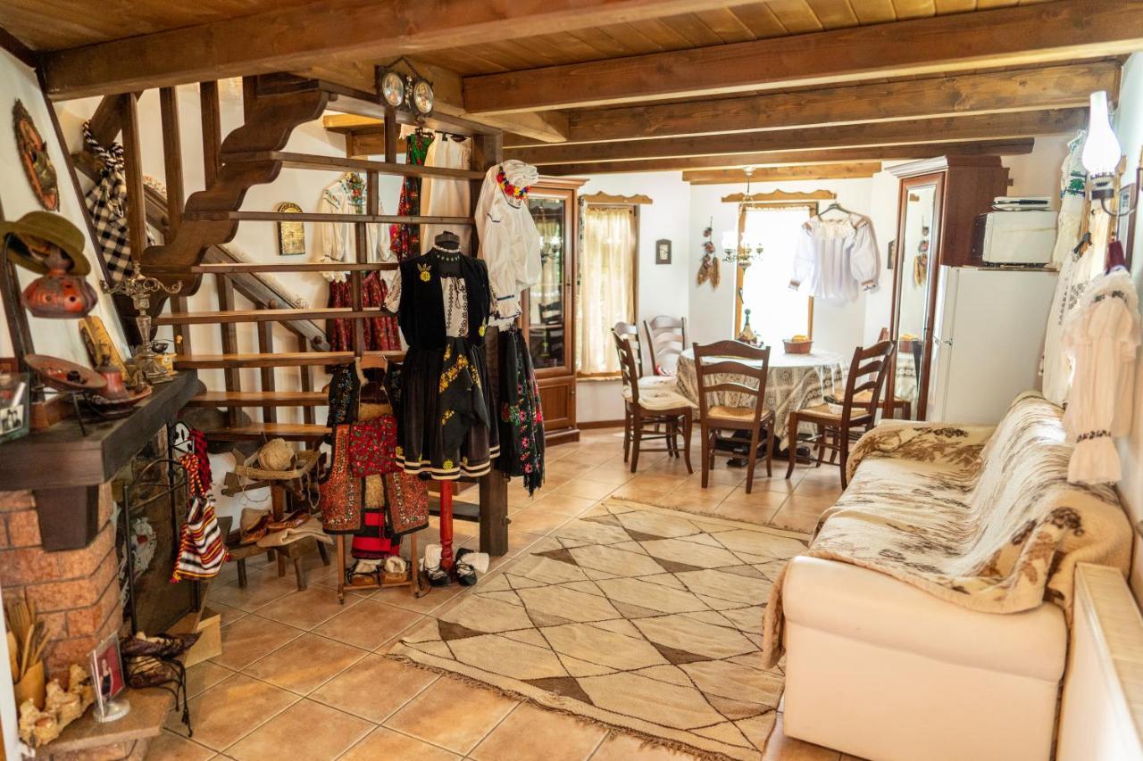 Cabana Rustic Borşa Εξωτερικό φωτογραφία