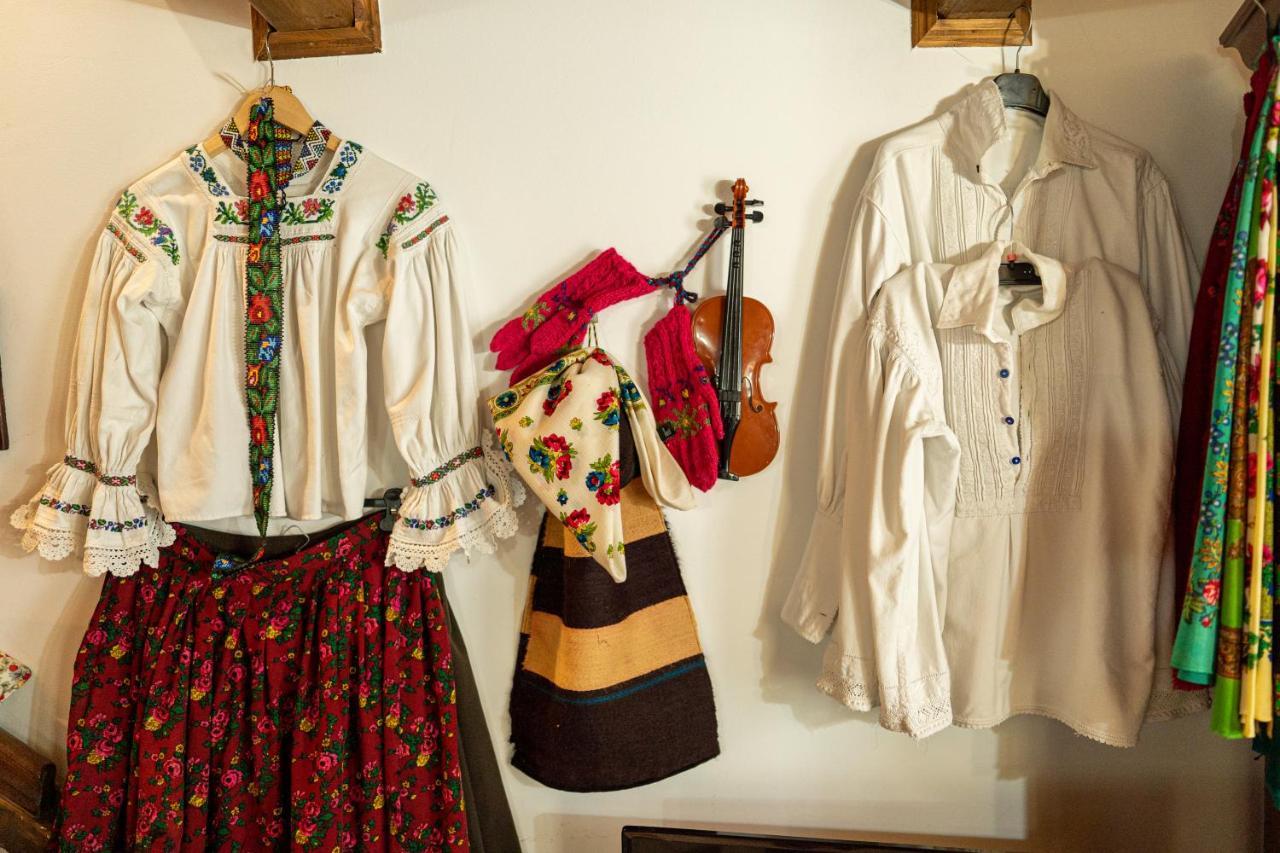 Cabana Rustic Borşa Εξωτερικό φωτογραφία