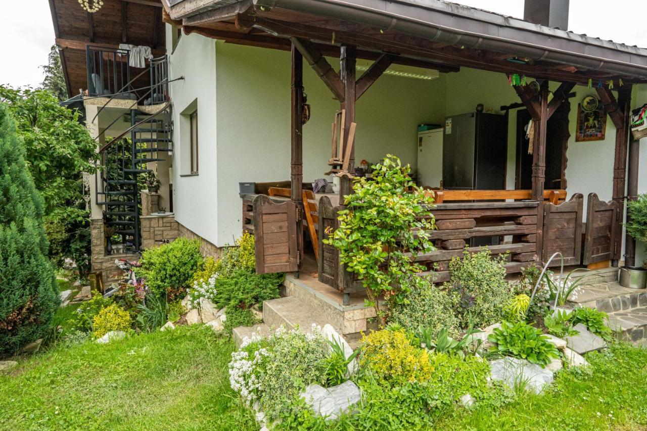 Cabana Rustic Borşa Εξωτερικό φωτογραφία