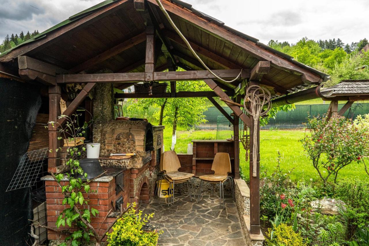 Cabana Rustic Borşa Εξωτερικό φωτογραφία