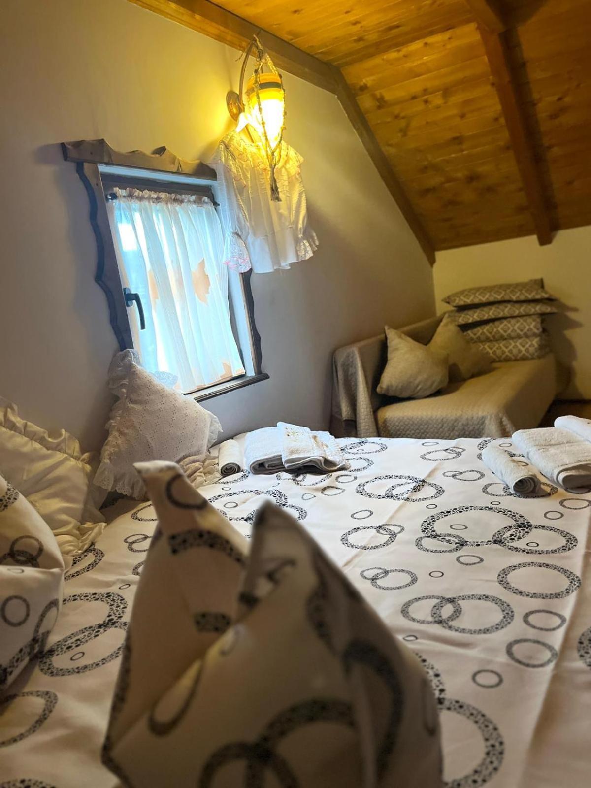 Cabana Rustic Borşa Εξωτερικό φωτογραφία