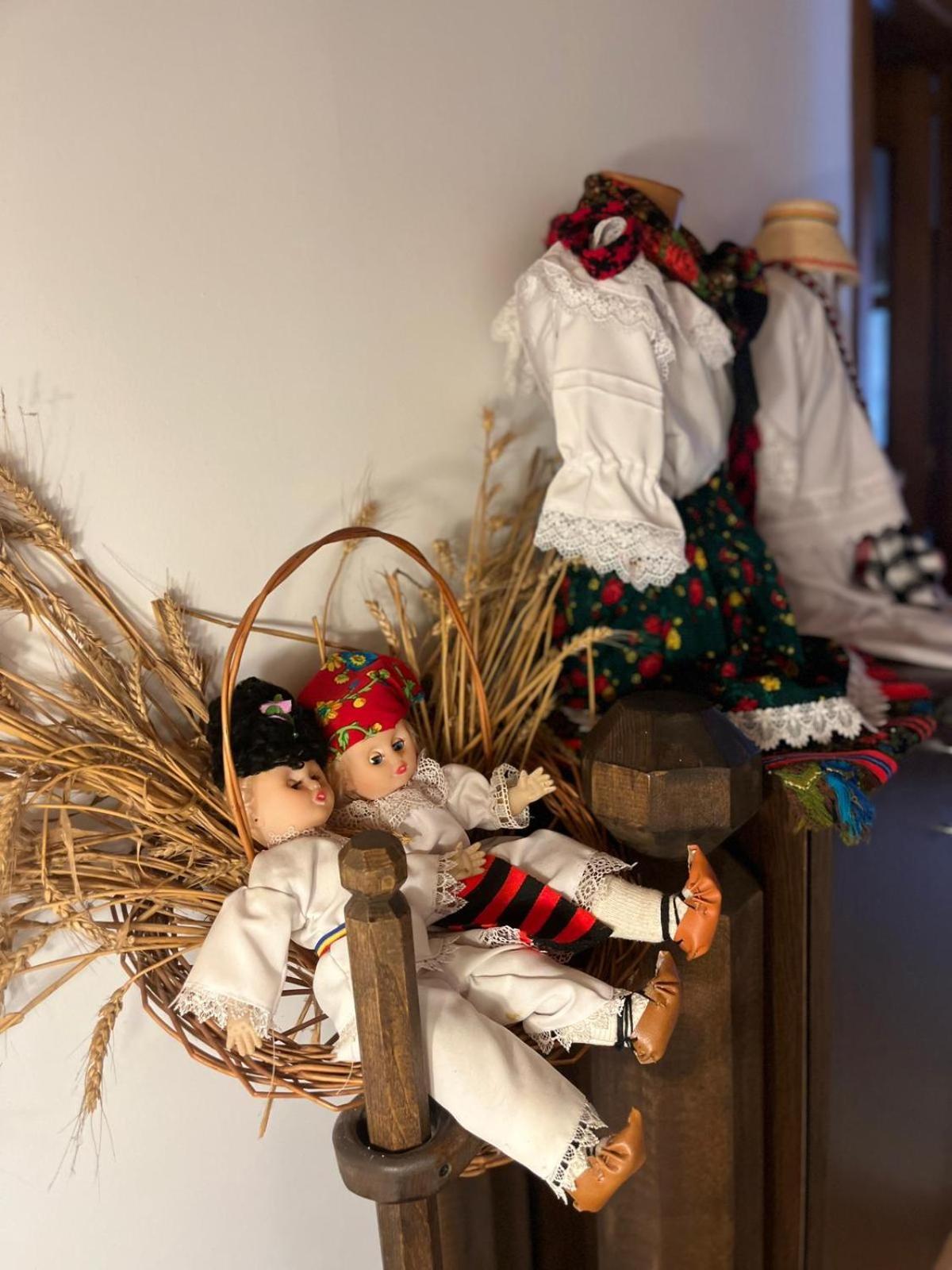 Cabana Rustic Borşa Δωμάτιο φωτογραφία
