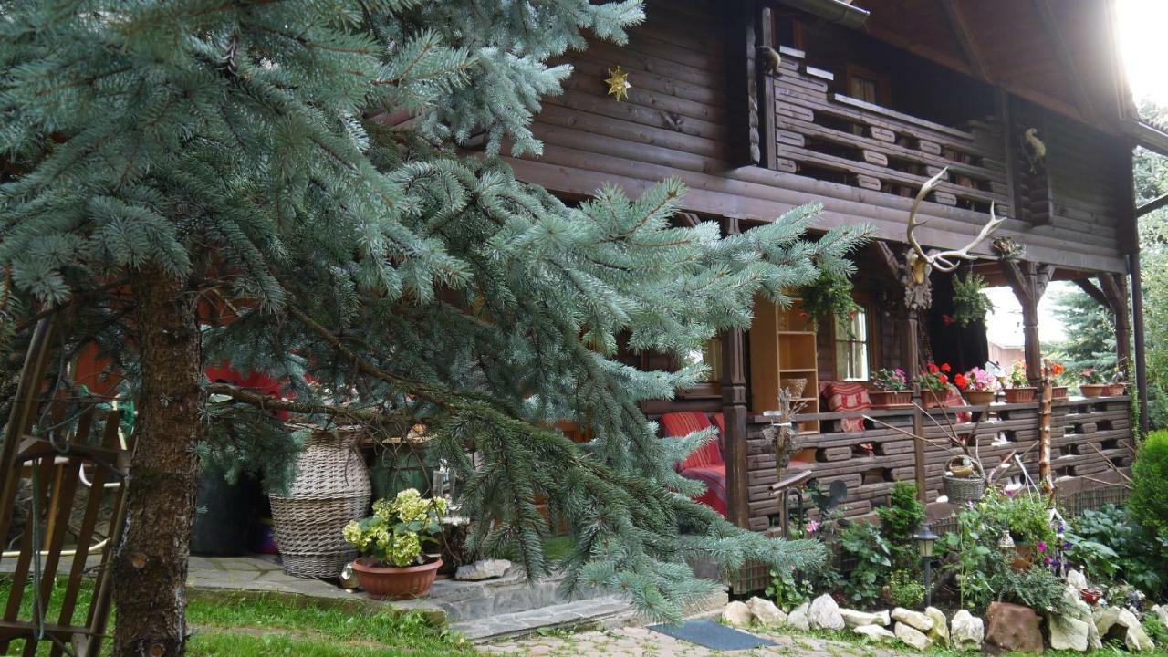 Cabana Rustic Borşa Εξωτερικό φωτογραφία