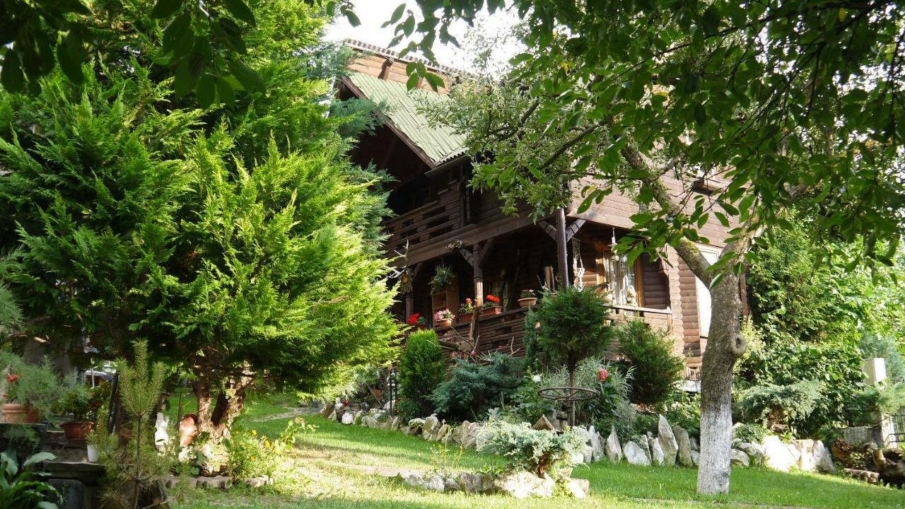 Cabana Rustic Borşa Εξωτερικό φωτογραφία