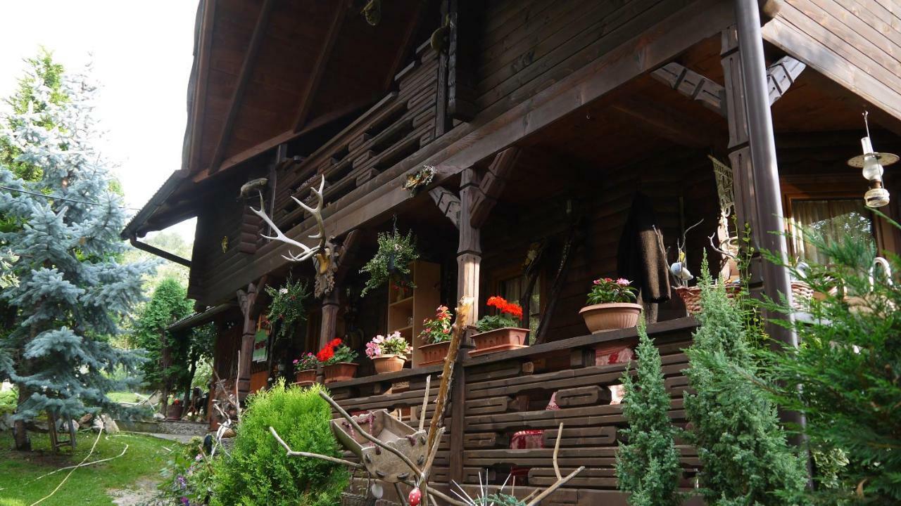 Cabana Rustic Borşa Εξωτερικό φωτογραφία