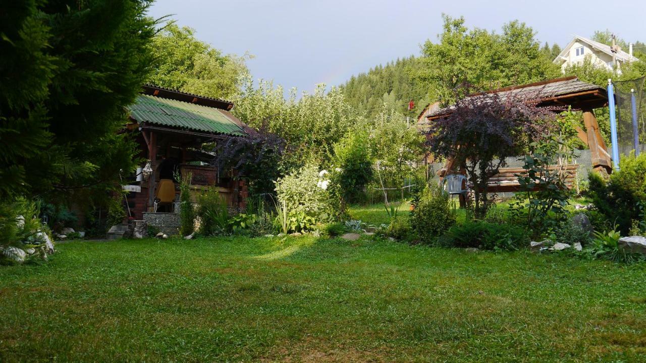 Cabana Rustic Borşa Εξωτερικό φωτογραφία