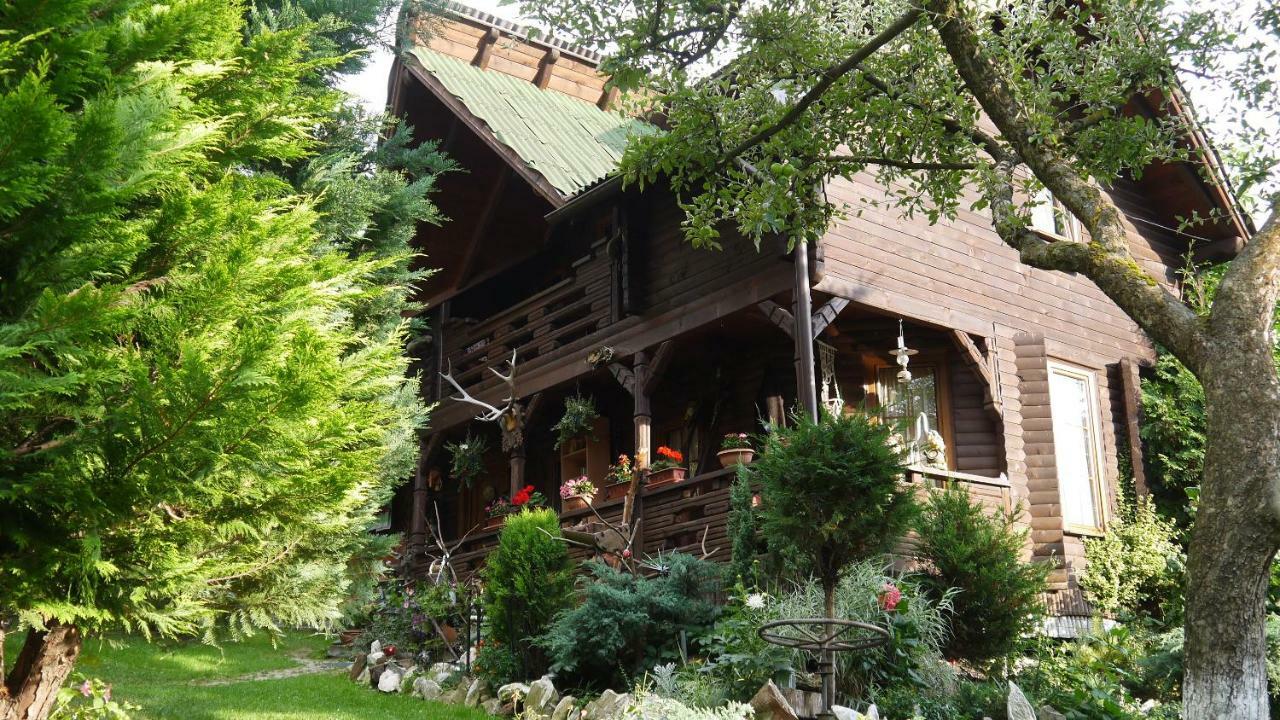 Cabana Rustic Borşa Εξωτερικό φωτογραφία