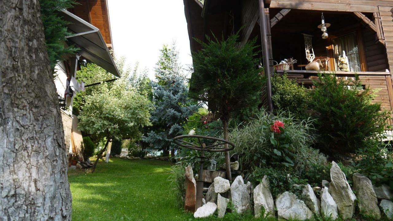Cabana Rustic Borşa Εξωτερικό φωτογραφία