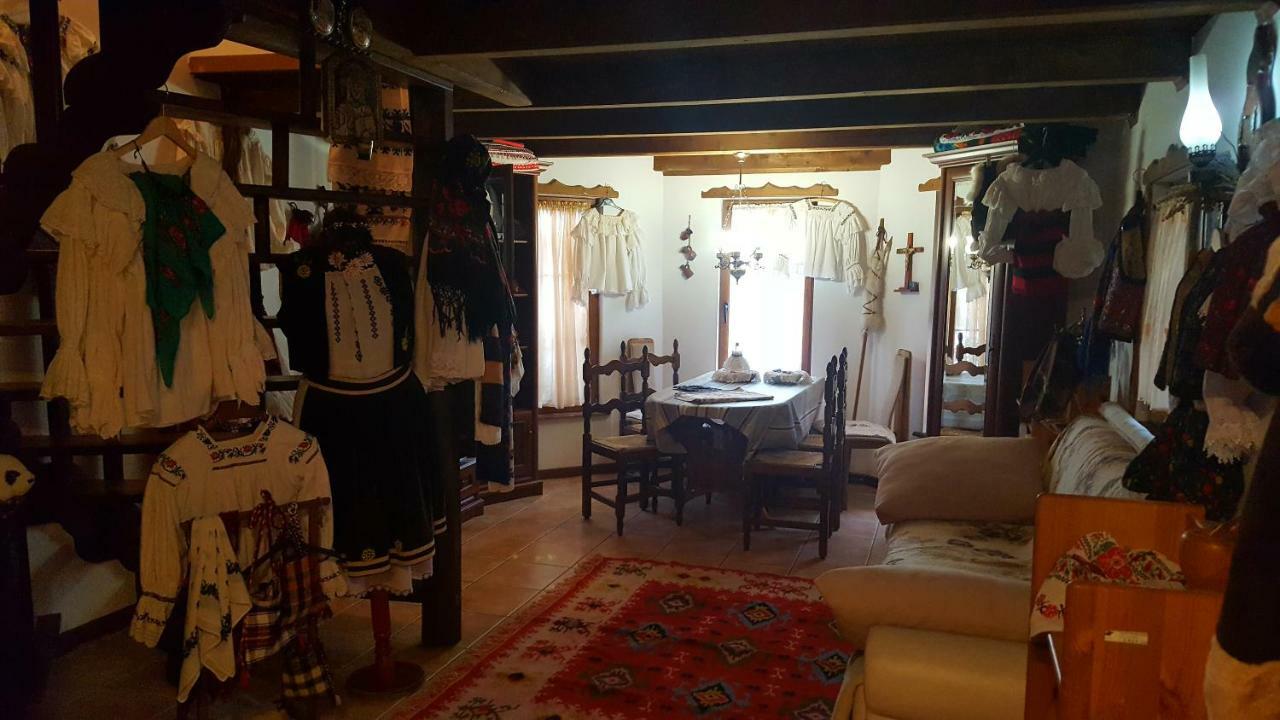 Cabana Rustic Borşa Εξωτερικό φωτογραφία