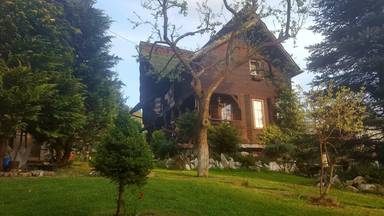Cabana Rustic Borşa Εξωτερικό φωτογραφία