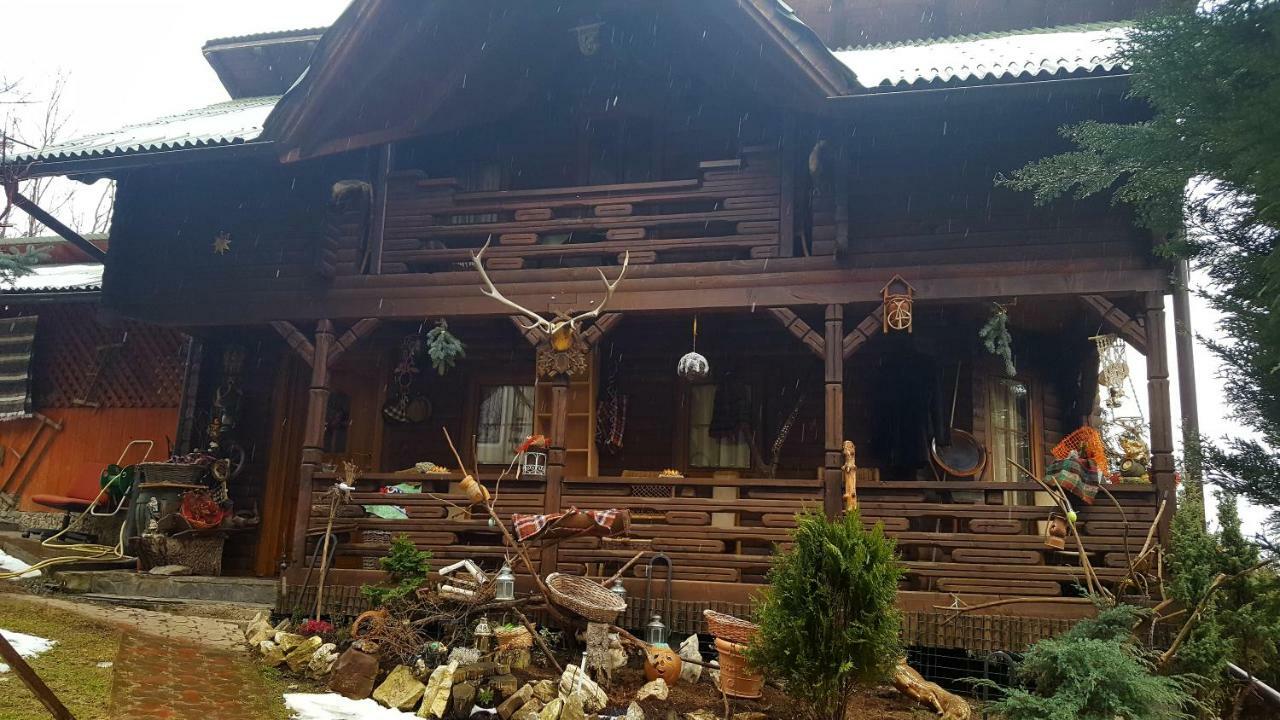 Cabana Rustic Borşa Εξωτερικό φωτογραφία